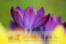 images (82) images (82)