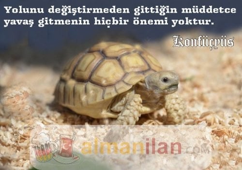 almanca biliyorum evden iş arıyorum