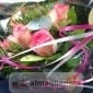 IMG_20190103_101545_531