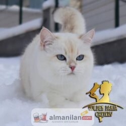 IMG-20220204-WA0001