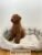 IMG-20230319-WA0003