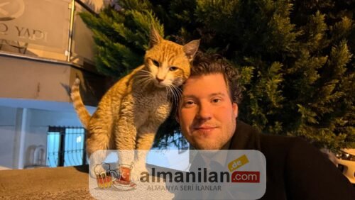 23a7ab44-36da-4d2e-bcc9-dc986244a2e1-or 23a7ab44-36da-4d2e-bcc9-dc986244a2e1-or