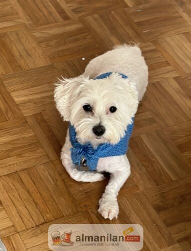 9E09EA82-D55E-4961-B2BD-967B2DBCFCCB 9E09EA82-D55E-4961-B2BD-967B2DBCFCCB