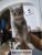 IMG-20240908-WA0005