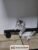 IMG-20240908-WA0002