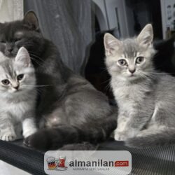 IMG-20240908-WA0000