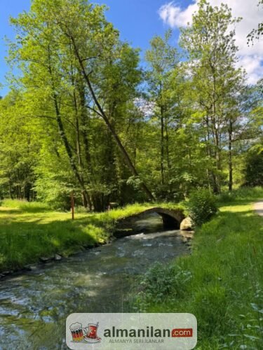 1000039900 1000039900