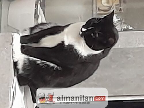 20220930_200326 20220930_200326