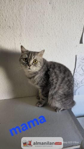 1000247173 1000247173