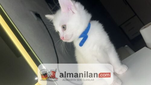 1000060402 1000060402