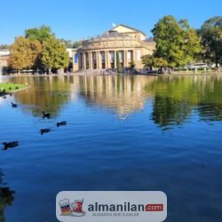 Screenshot_20250315_060239_Gallery