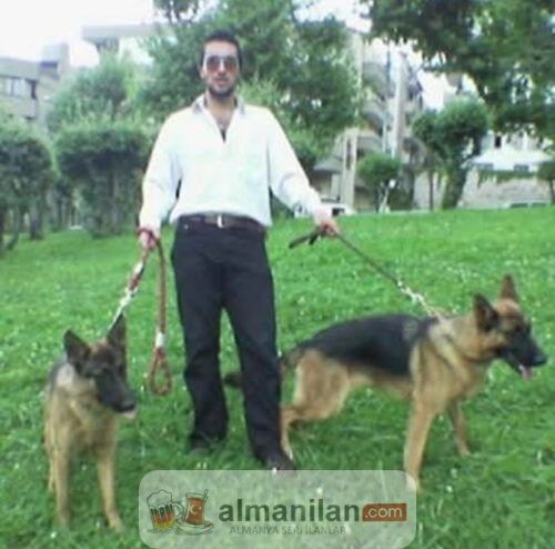 1000013003 1000013003